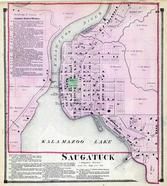 Saugatuck, Kalamazoo River, Allegan County 1873